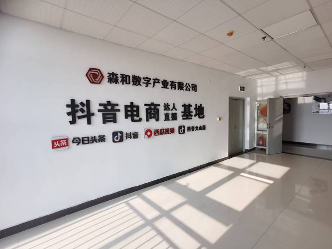 抖音24小时在线下单网站_抖音平台购物体验提升_抖音24小时在线下单