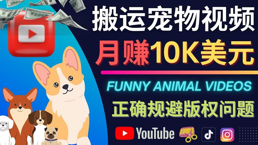 TikTok动物保护活动_tiktok粉丝购买_TikTok社会公益项目
