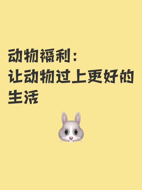 TikTok动物保护活动_TikTok社会公益项目_tiktok粉丝购买