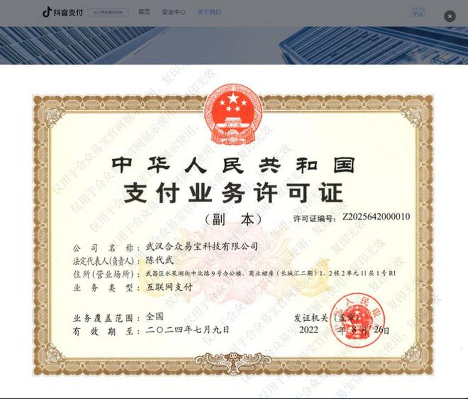 抖音支付线下推广_抖音支付红包补贴_抖音粉丝充值平台免费