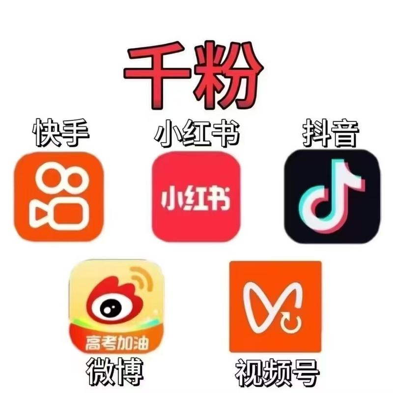 抖音涨粉软件_一键刷抖音粉丝_抖音播放量下单软件