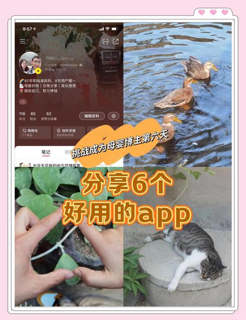 角色强大作品走红专用工具_快手涨热度_GIF自动增加粉丝工具