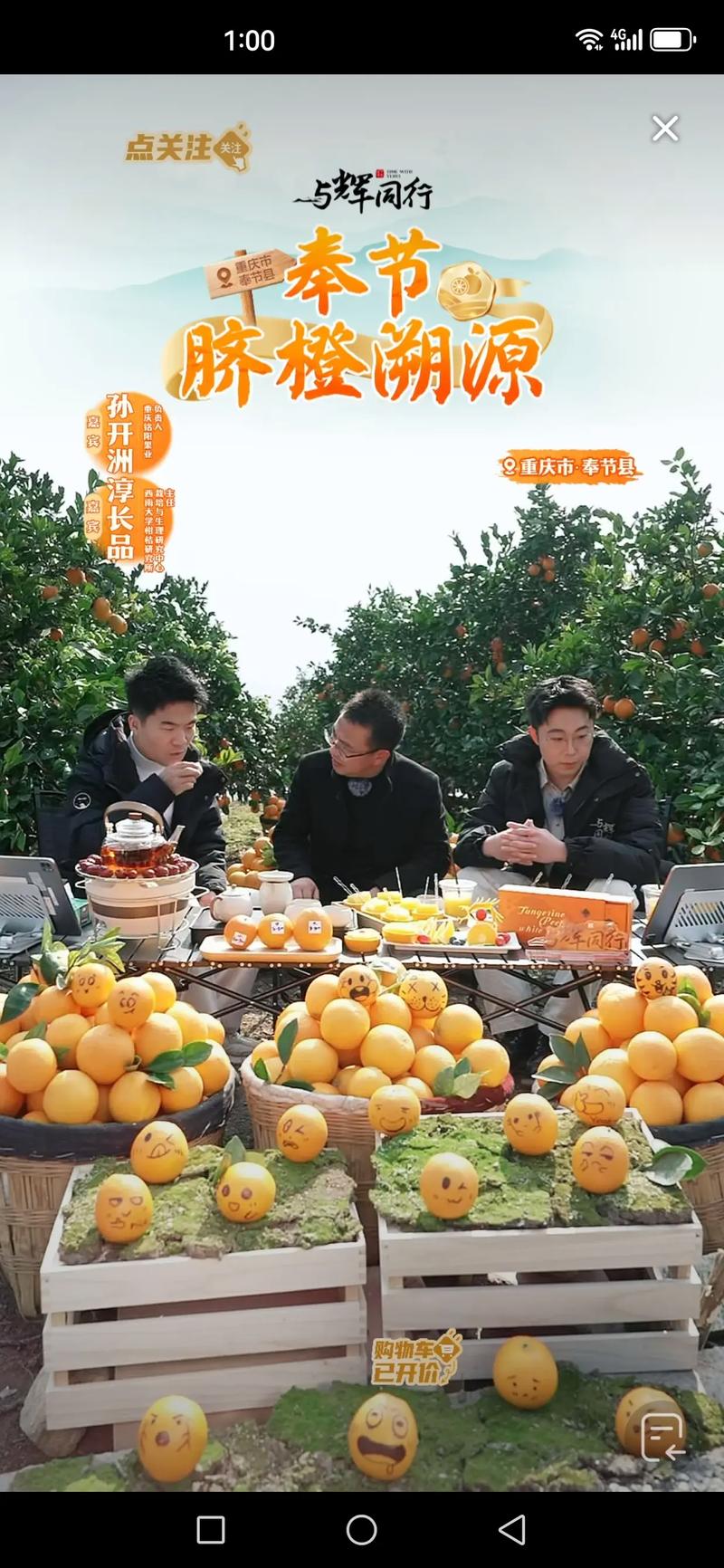 抖音僵尸粉丝业务便宜_抖音直播带货_赣南脐橙变现