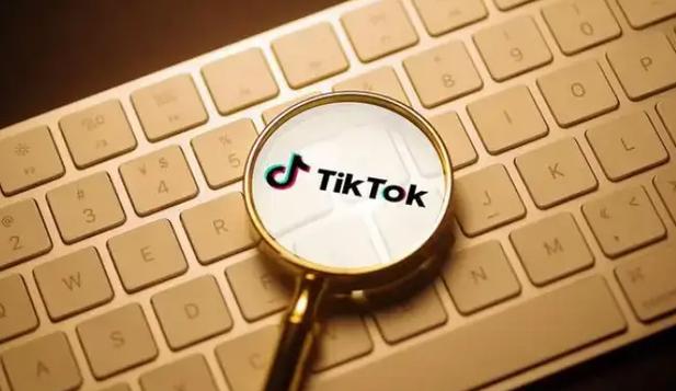 TikTok创作者收入分成计划_TikTok LIVE订阅服务_tiktok粉丝购买