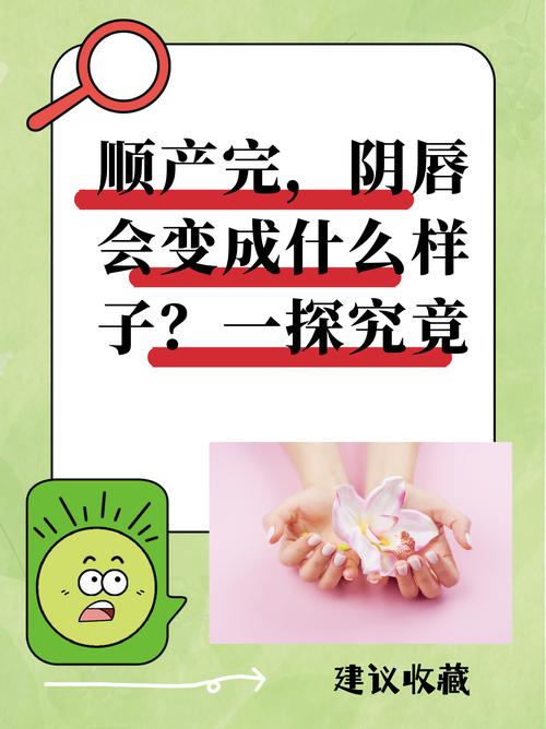 ks是什么意思 网络用语 ks的由来与应用_Ks双击飞速