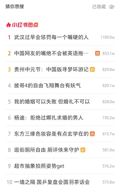 小红书涨粉困难的原因_小红书双11流量过载_小红书宕机事件